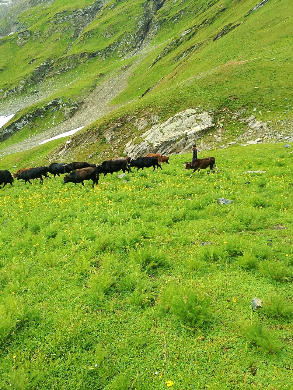 Best Kala Pani View Astore -